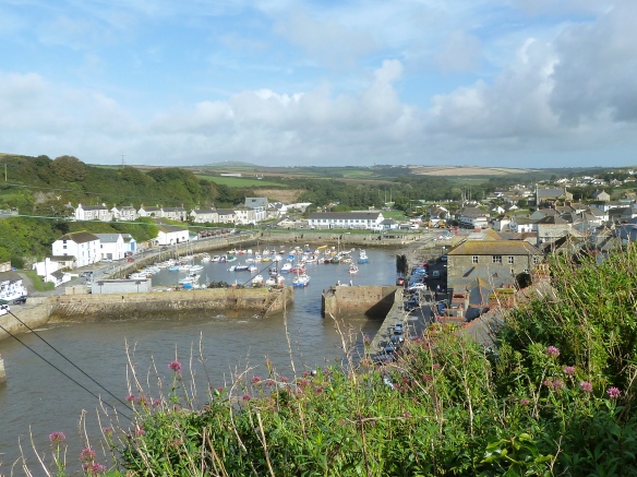 FB11 Porthleven from Above